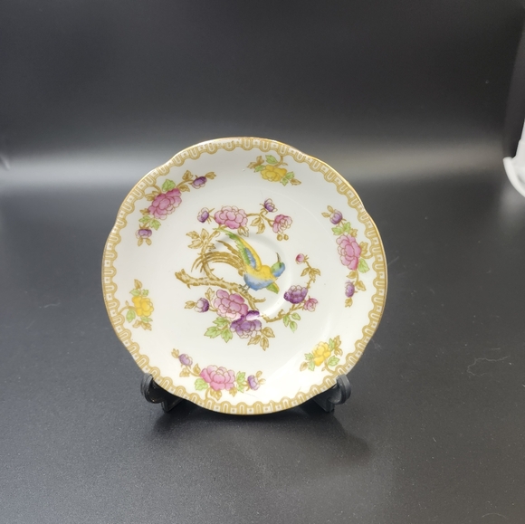Royal Standard " Bird of paradise" Tea cup and saucer from 1930-1949 - Picture 8 of 12